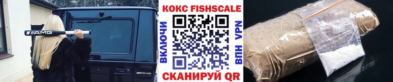 Купить  Инсар  COCAIN Fish Scale 