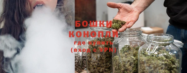 амф Ельня