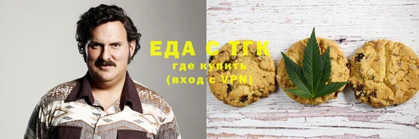 амф Ельня