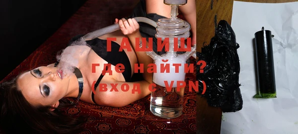 амф Ельня
