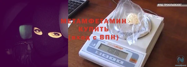 амф Ельня
