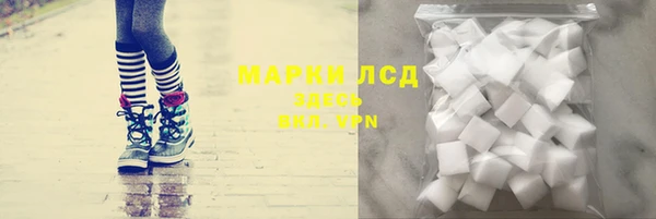 амф Ельня