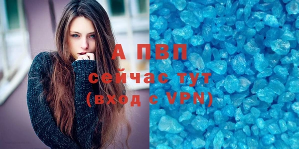 амф Ельня
