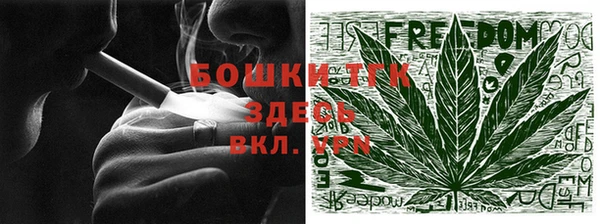 амф Ельня