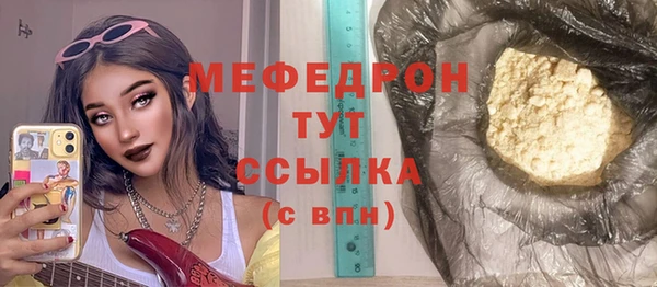 амф Ельня