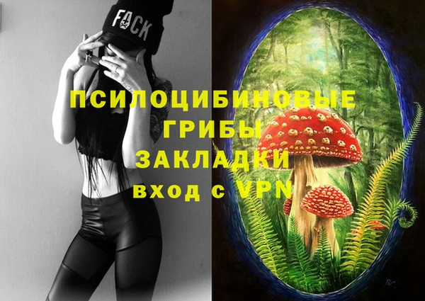 ALPHA PVP Рославль