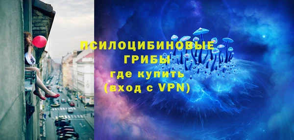 амф Ельня