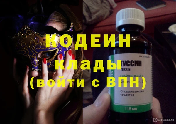 амф Ельня