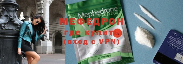 амф Ельня