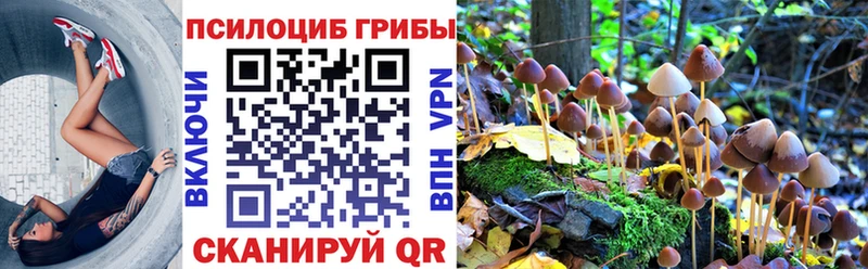 Галлюциногенные грибы мицелий  Купить где  Инсар 