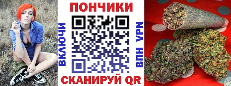 Бошки Шишки план  Купить закладки  Инсар 